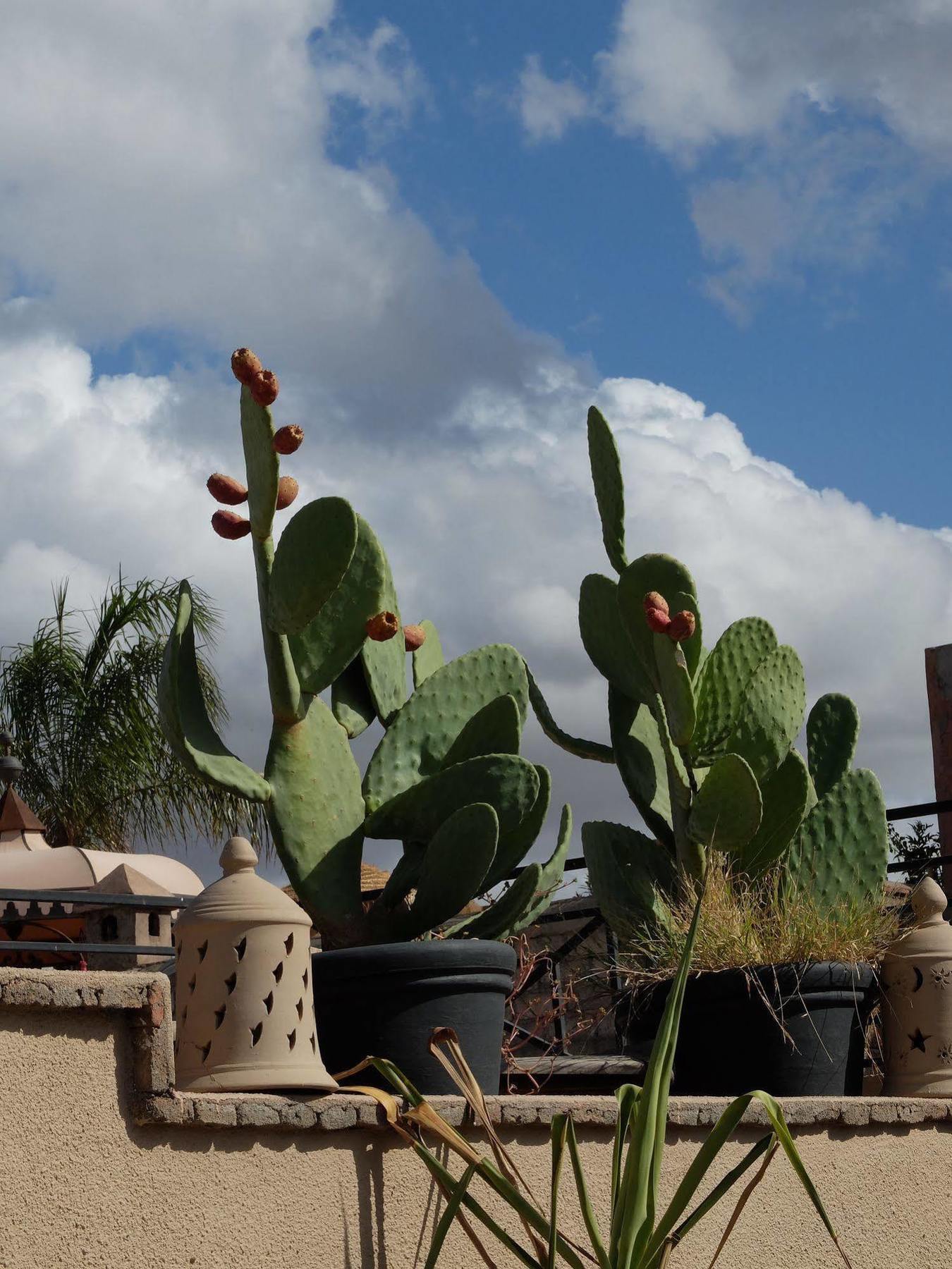Riad Pierres Et Saveurs Soleil Марракеш Екстер'єр фото